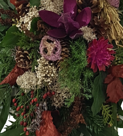 Blumen haltbar Allerheiligen