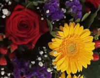 Friedof Beisetzung mit echten Schnittblumen in gelb rot lila