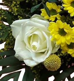 IMG-20210415-WA0014-1-gg