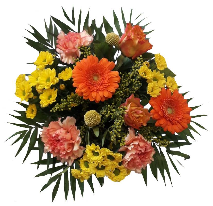 IMG-20210415-WA0018-1-bb-n-Kopie