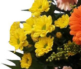 IMG-20210415-WA0018-1-bb-nj