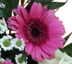 IMG-20210415-WA0034-1-mmm