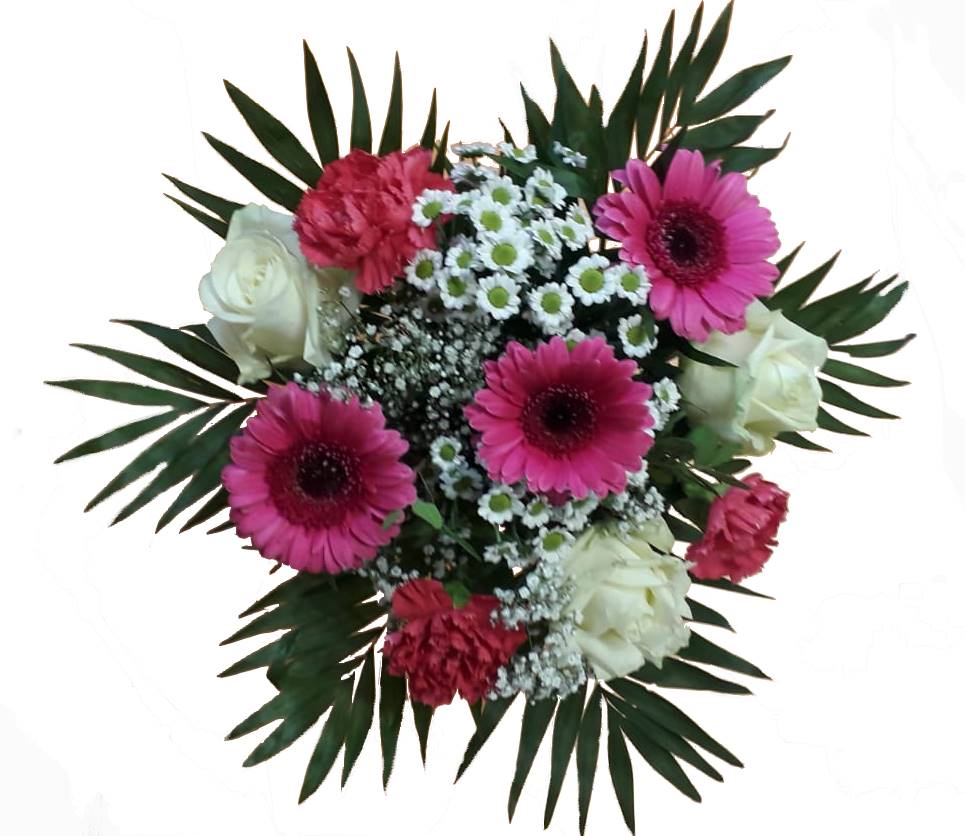 IMG-20210415-WA0034-1