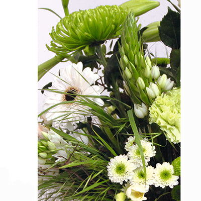 Wähle hier deine Grußkarte aus