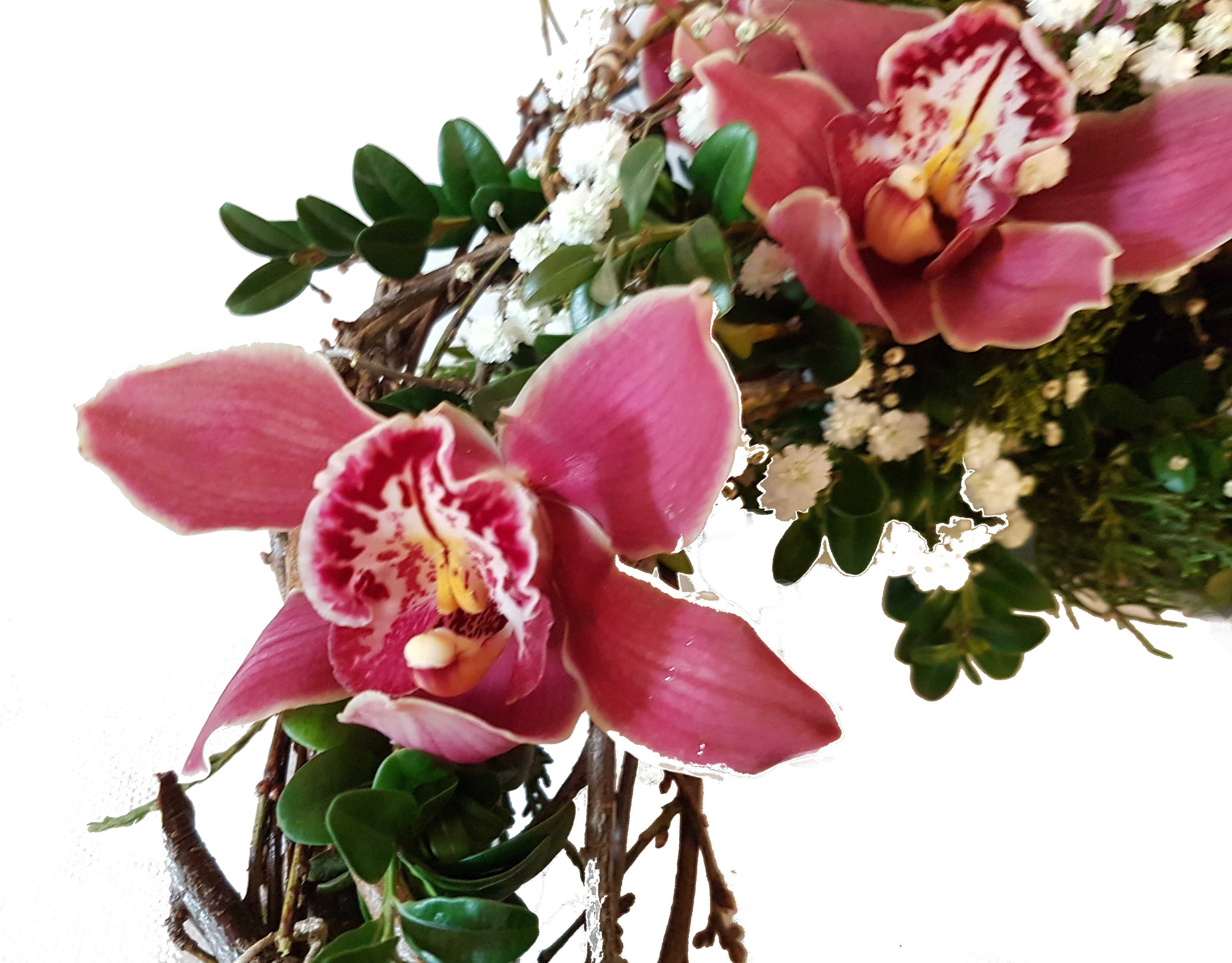 Kranz zur Beerdigung rötliche Orchideen je nach Verfügbarkeit - Cymbiedea oder Phalaenopsis und weißen Schleierkrant - Moderner Trauerschmuck auch für Urne geeignet
