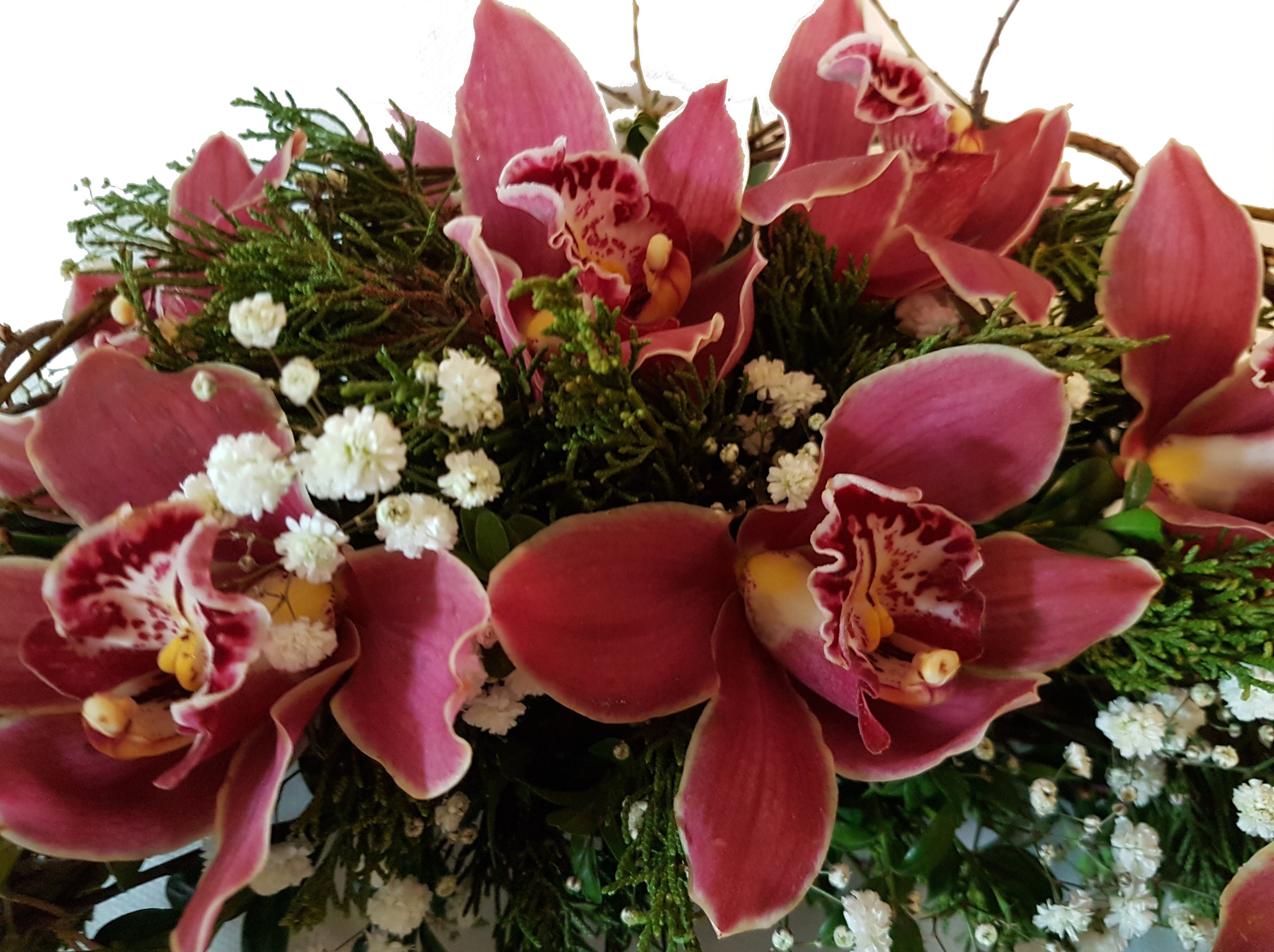 Kranz zur Beerdigung rötliche Orchideen je nach Verfügbarkeit - Cymbiedea oder Phalaenopsis - Moderner Trauerschmuck auch für Urne geeignet