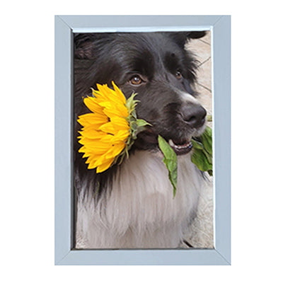 Wähle hier dein  Geschenk aus