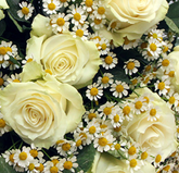 Screenshot_20200207-1740ff08-1