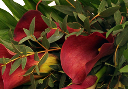 Screenshot_20200207-174509-2