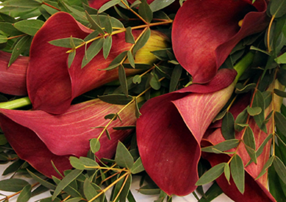 Screenshot_20200207-174509-3