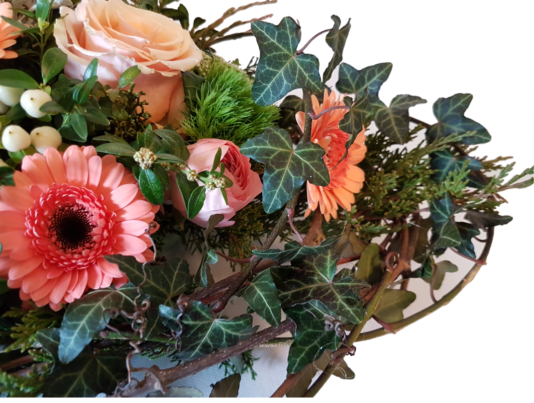 Screenshot_20200207-214050-1