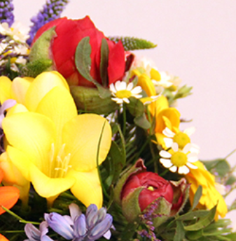 Screenshot_20200208-042859-13