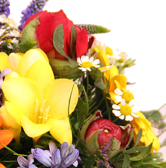 Screenshot_20200208-042859-13gf5z0dsdZ43td