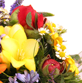 Screenshot_20200208-042859-13gf5z0dsdZ43td