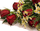 Screenshot_20200208-054400-2