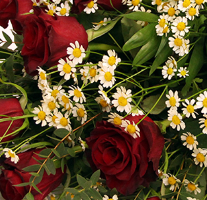 Screenshot_20200208-054400-3