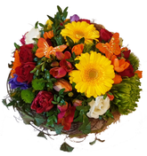 Screenshot_20200208-134747-1