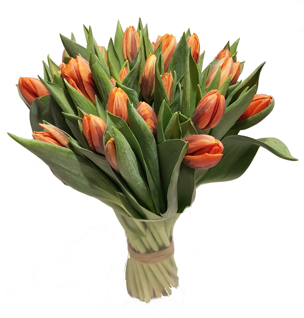 Screenshot_20200208-134945-1