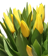 Screenshot_20200208-135000-1NaDb05FHRgiiZ