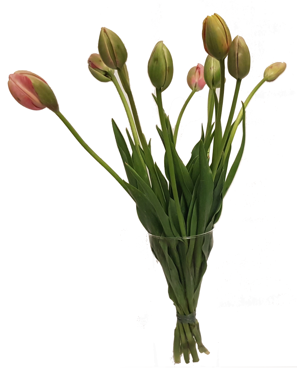 Screenshot_20200208-172725-1