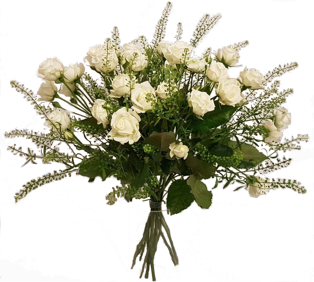 Screenshot_20200208-212324-1