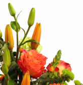 Screenshot_20200209-051835-1-v