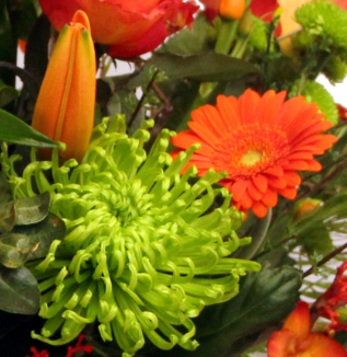 Screenshot_20200209-051835-1