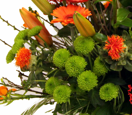 Screenshot_20200209-051835v