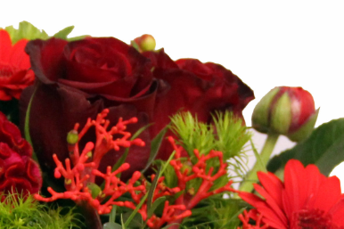 Screenshot_20200209-0531581