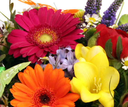 Screenshot_20200209-054112-1