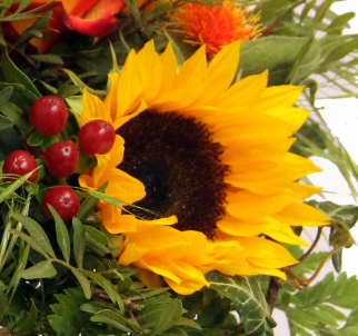 Screenshot_20200209-054903-1