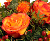 Screenshot_20200209-054903-2-s