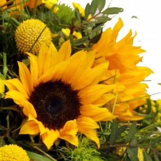 Screenshot_20200209-055335-1