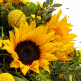 Screenshot_20200209-055335-1