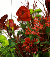 Screenshot_20200209-065447-1-F