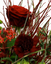 Screenshot_20200209-065447-1