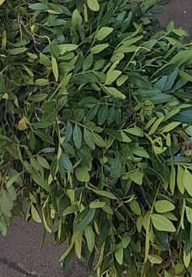 Screenshot_20200209-072301-1