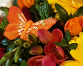 Screenshot_2020020s8-134747-1