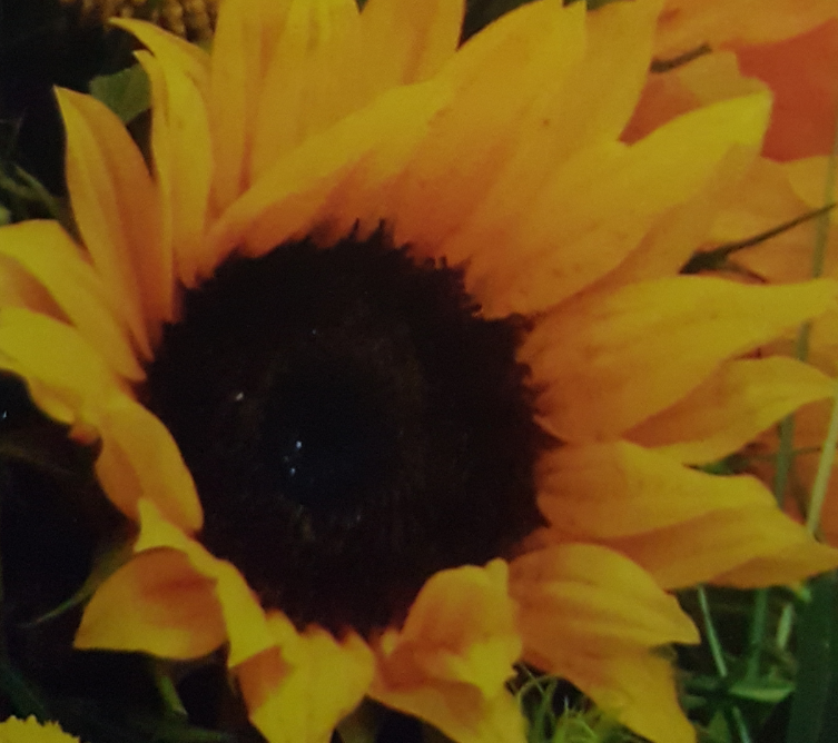 Screenshot_20200602-200652-10x15-SB-4