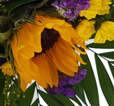 Screenshot_20200604-135550-1-1-2