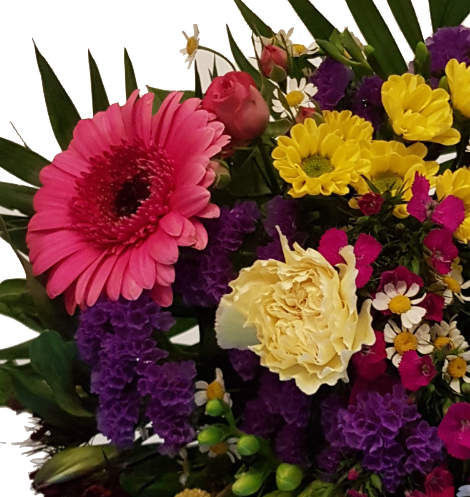 Screenshot_20200605-061526-1-1