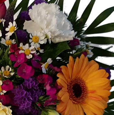 Screenshot_20200605-061526-1-2