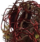 Screenshot_20200605-213744-1-neu-neuwss