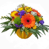 Screenshot_20200610-204505-1