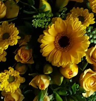 Screenshot_20200618-201513-1-ggweiss