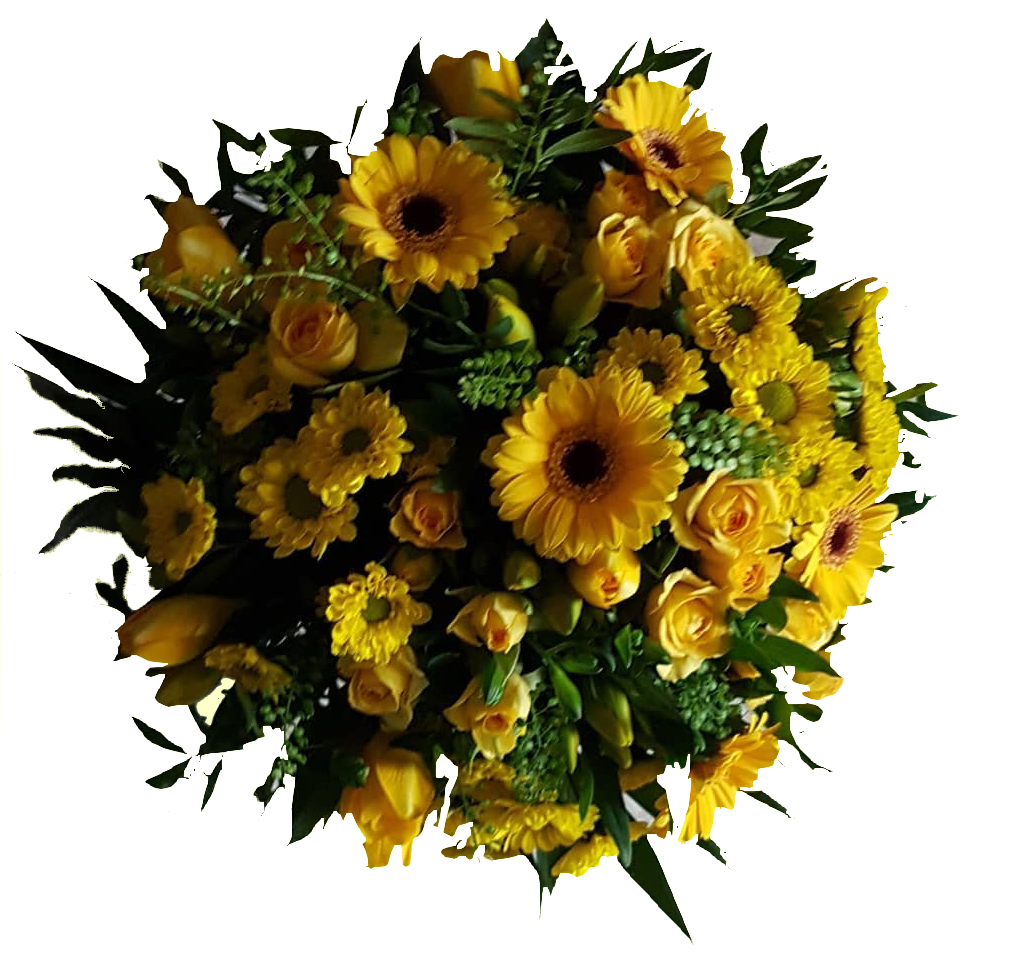 Screenshot_20200618-201513-1-weiss