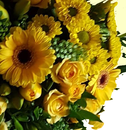 Screenshot_20200618-201513sxcweissy6OOUNYpT00Ys