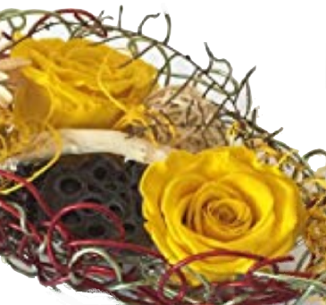 Screenshot_20200620-184455-1