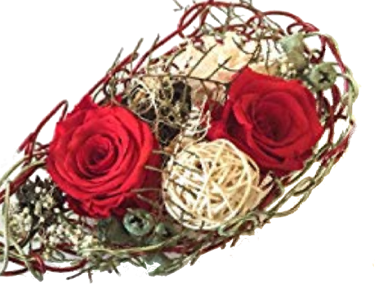 Screenshot_20200620-184849-1