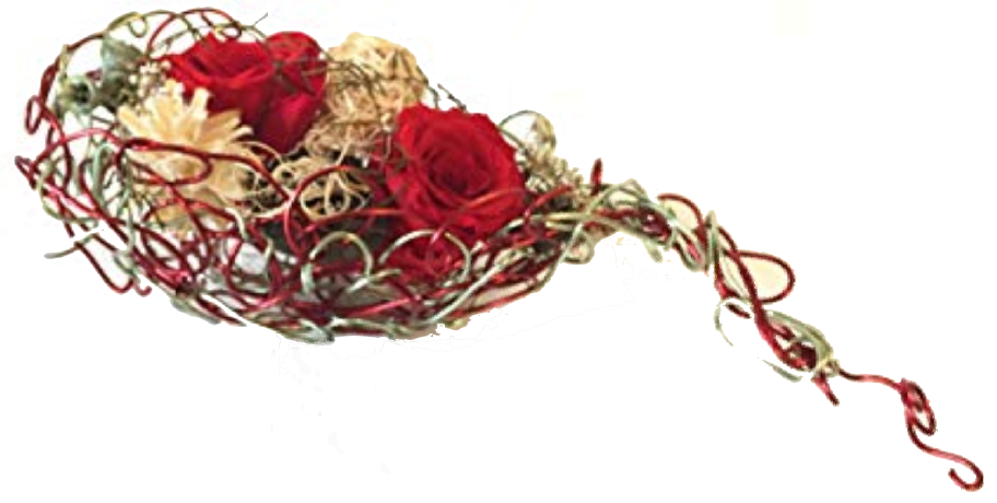 Screenshot_20200620-184852-1